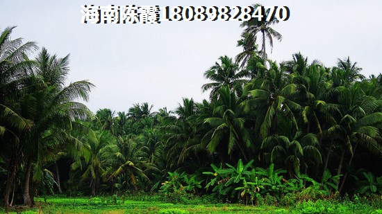 琼海的房子纸不纸得买？