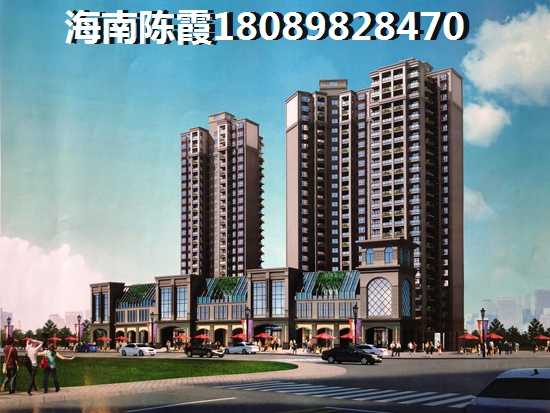 在海南什么地方买房生纸？